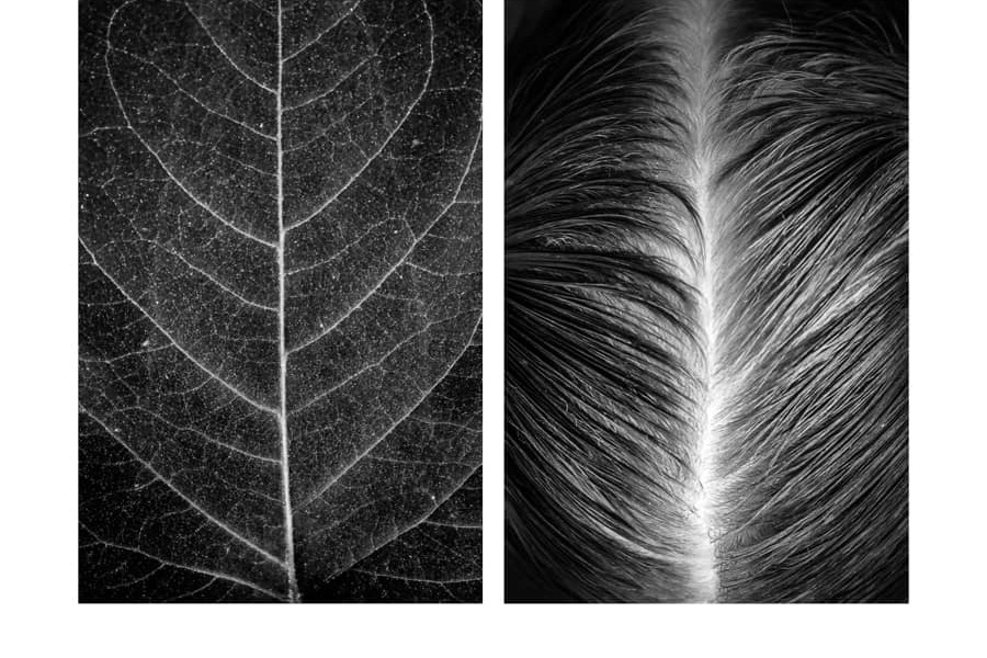 Les diptyques monochromes d’Alicja Brodowicz