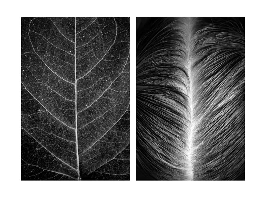 Les diptyques monochromes d’Alicja Brodowicz