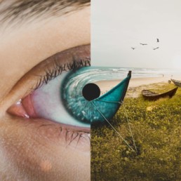 les photomontages de Monica Carvalho