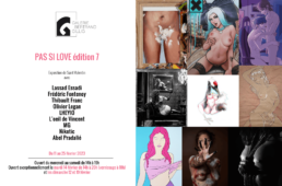 Exposition Pas si Love Galerie Bertrand Gillig Strasbourg