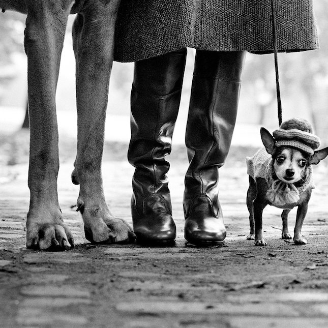 Agenda Photo Mars 2023 Paris Elliott Erwitt Musée Maillol