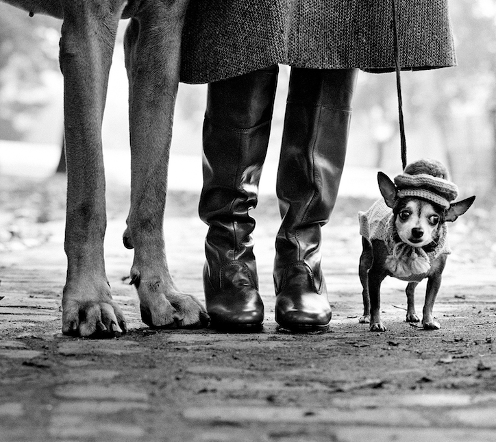 Agenda Photo Mars 2023 Paris Elliott Erwitt Musée Maillol