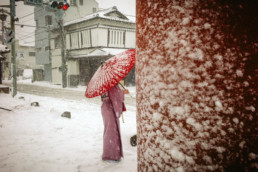 Heavy Snow Day, Tsurugaoka Hachimangu Shrine, Yukinoshita, Kamakura, Feb 2014 ©️ Shin Noguchi