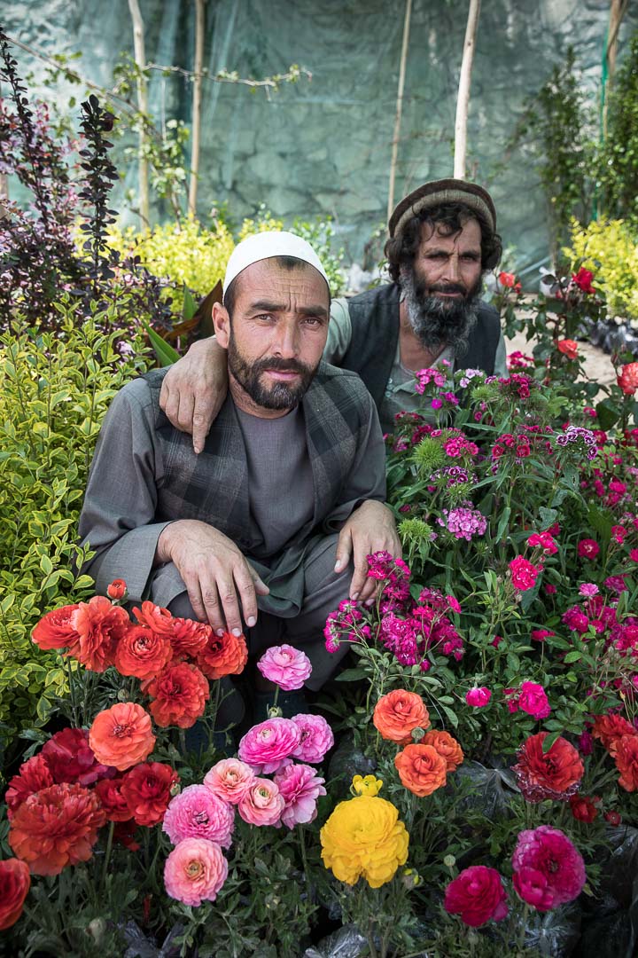 Des roses sous les épines de Oriane Zérah