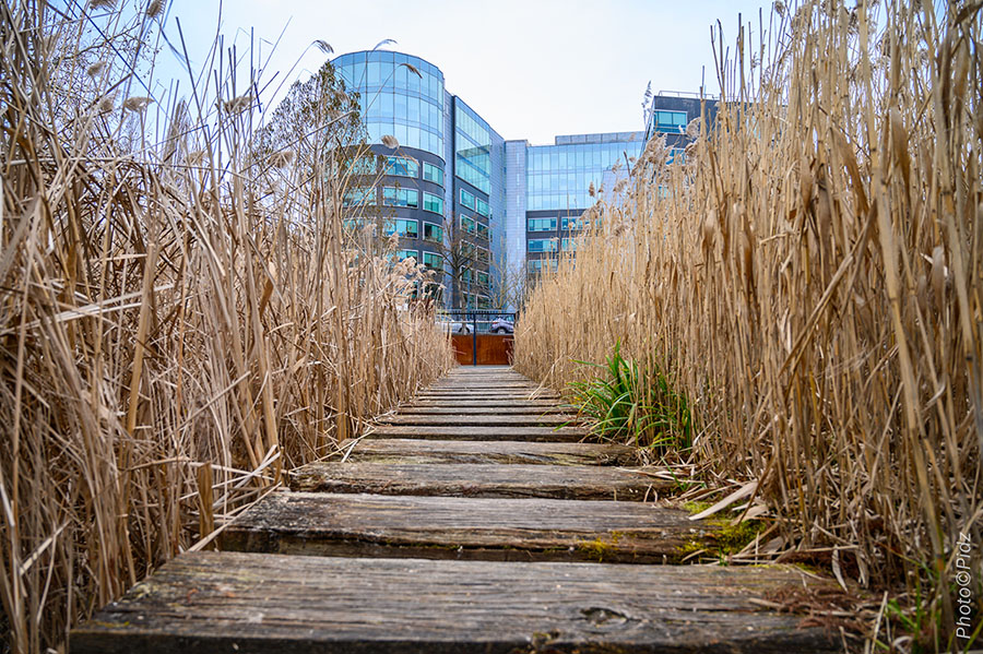 Le Jardin des Géants à Lille, photo de Pidz