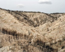 Quand le feu fait des montagnes ses victimes par le photographe Arnaud Teicher
