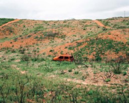 WILDFIRE © Arnaud Teicher