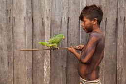 photographie d'un enfant avec un oiseau photographie de Samuel Macedo pour son projet photo enfance