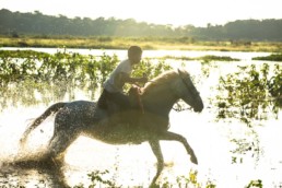 photographie enfant sur un cheval au Brésil photographie de Samuel Macedo
