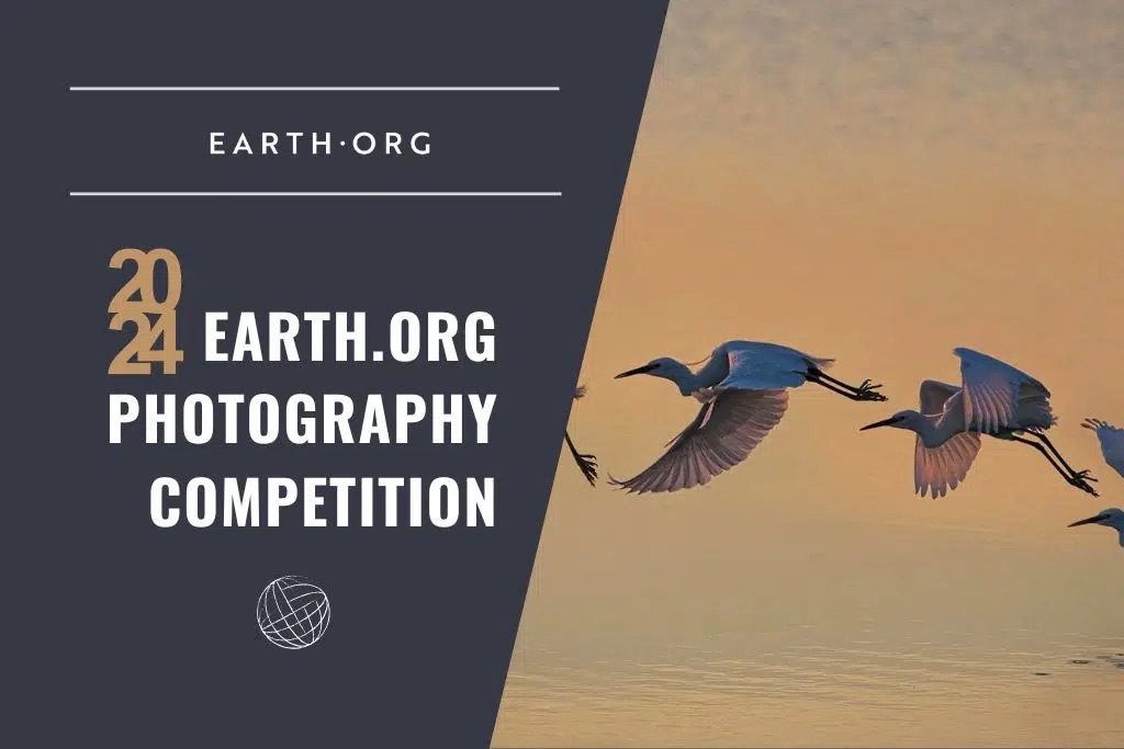 earth.org photography competition concours photo 2024