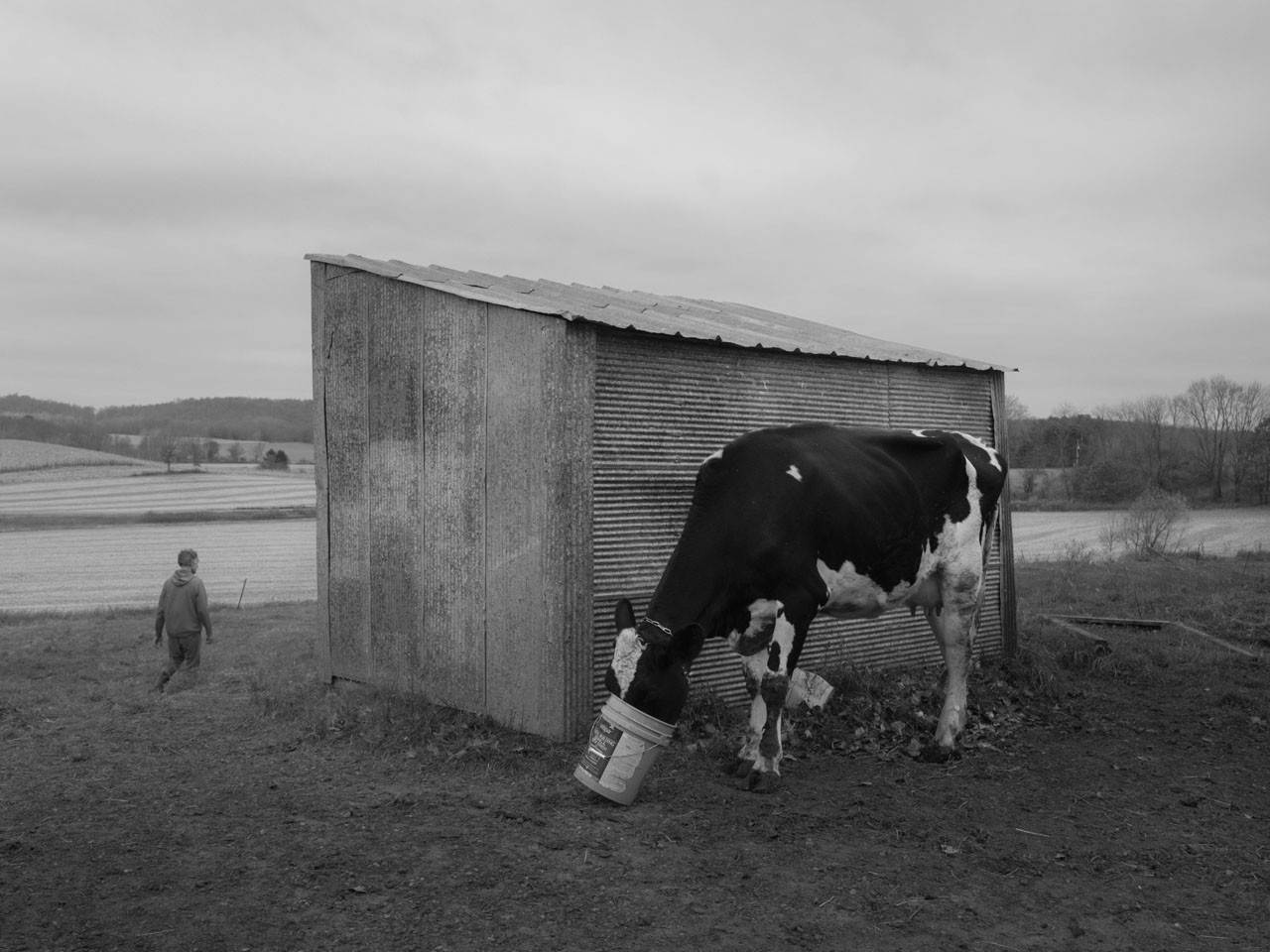 Dormant Season © Erinn Springer livre photo wisconsin photos en noir et blanc