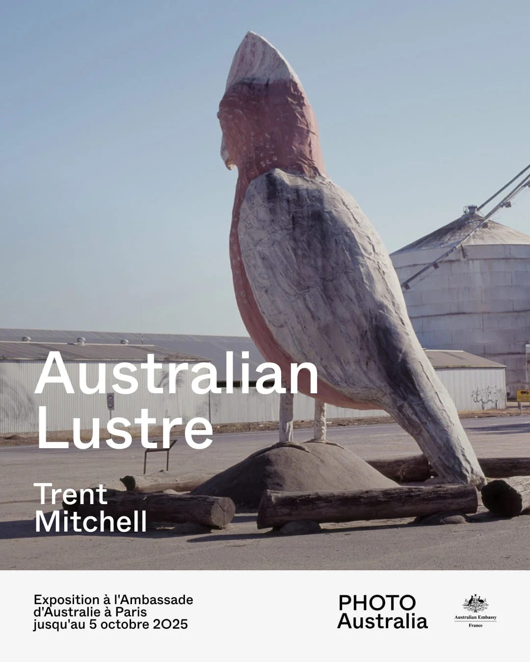 affiche de l'exposition Australian Lustre de Trent Mitchell en septembre 2025