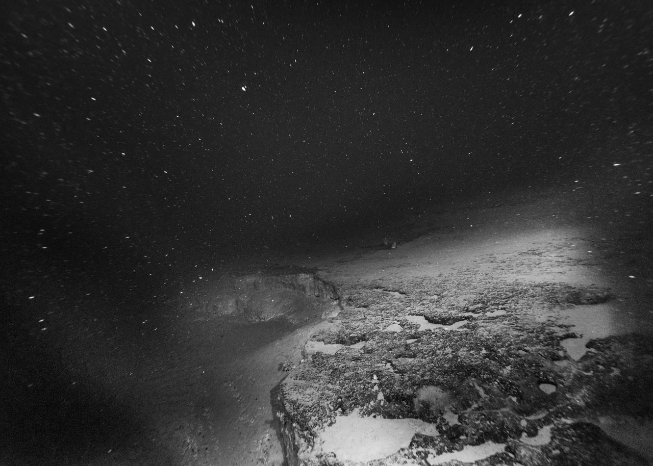 exposition photo paris novembre 2025