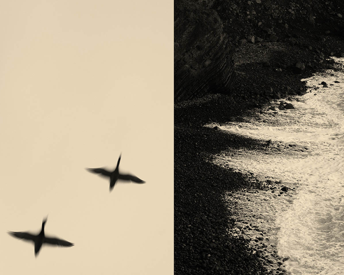 mondes intérieurs de la photographe stéphanie labé