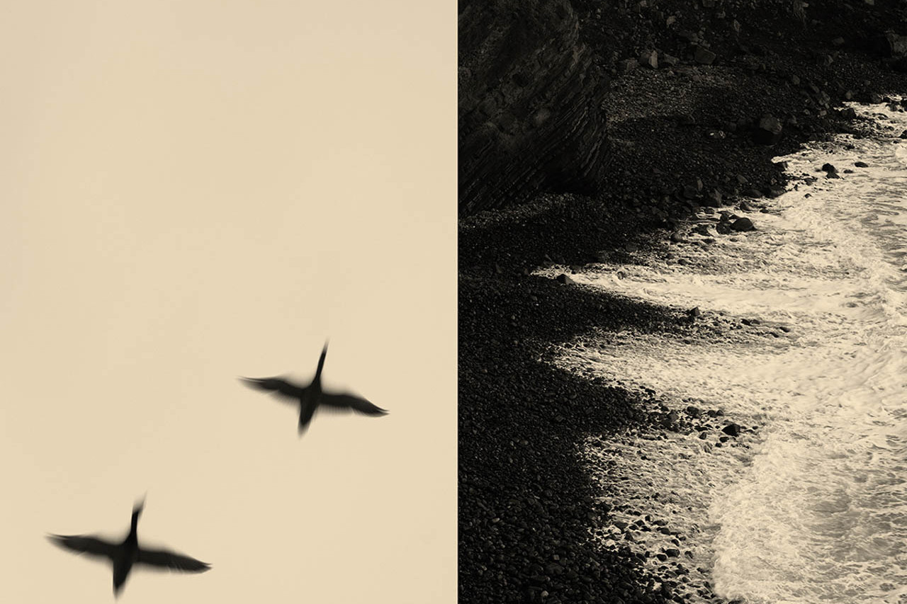 mondes intérieurs de la photographe stéphanie labé