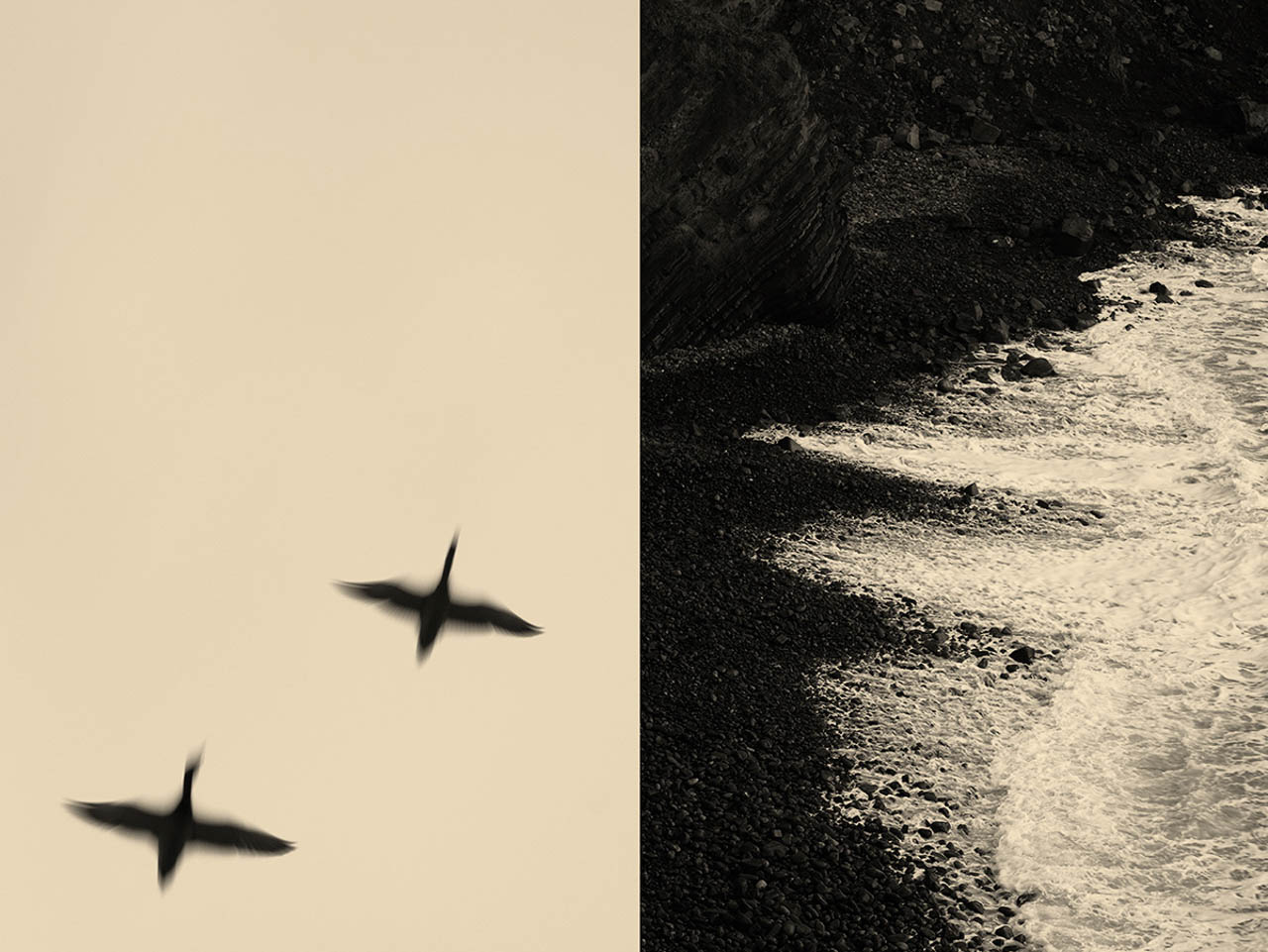 mondes intérieurs de la photographe stéphanie labé
