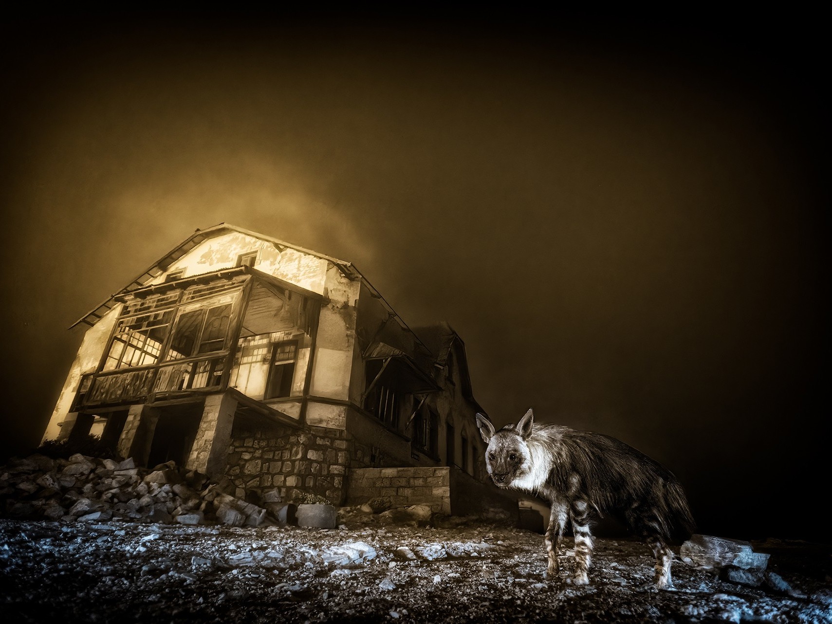 Lauréat du Grand Prix de l'Année 2025 Adulte - Ghost Town Visitor © Wim van den Heever