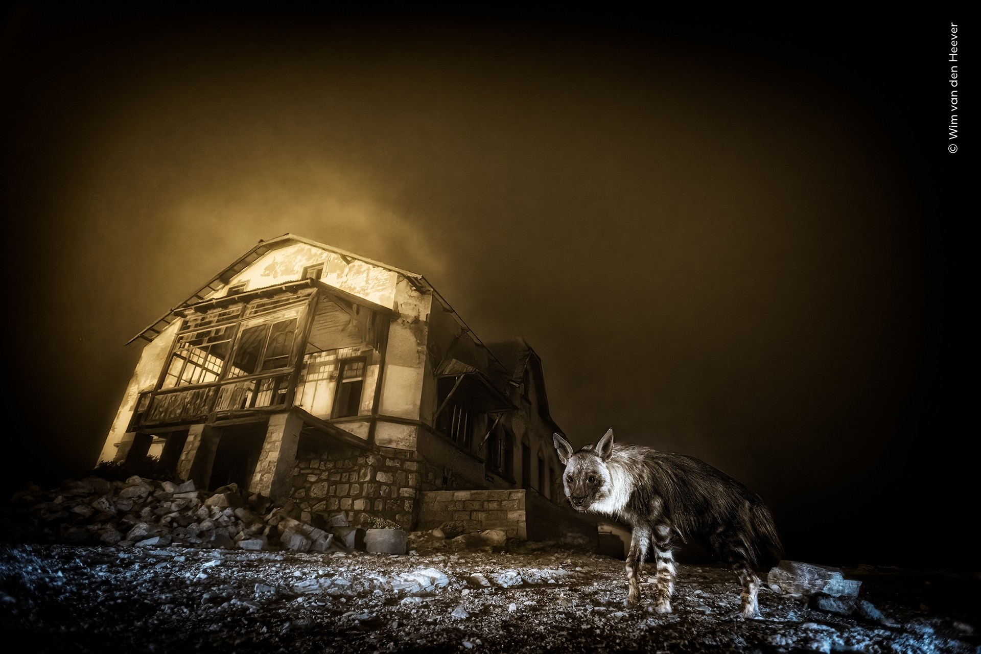 Lauréat du Grand Prix de l'Année 2025 Adulte - Ghost Town Visitor © Wim van den Heever