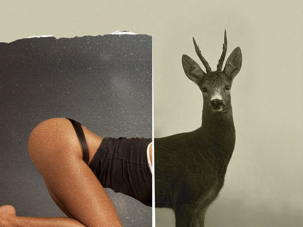 collage de l'artiste Emir Shiro