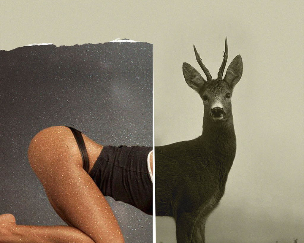 collage de l'artiste Emir Shiro