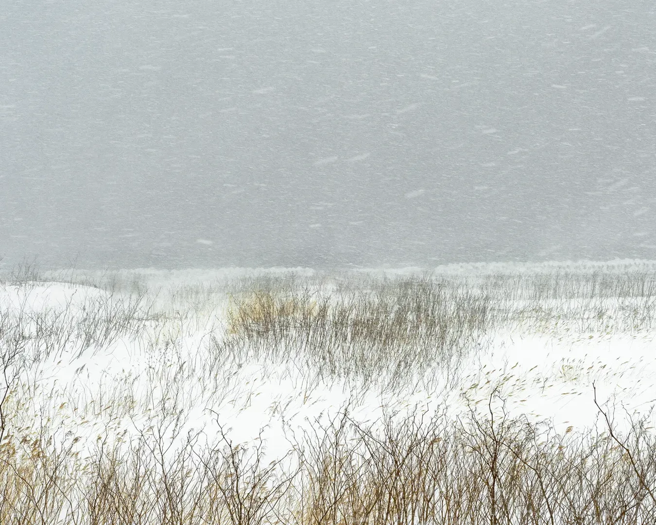 Le bruit de la neige - Catherine Henriette