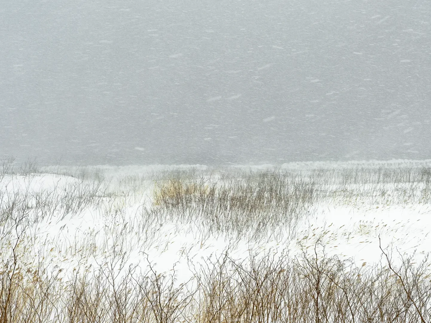 Le bruit de la neige - Catherine Henriette