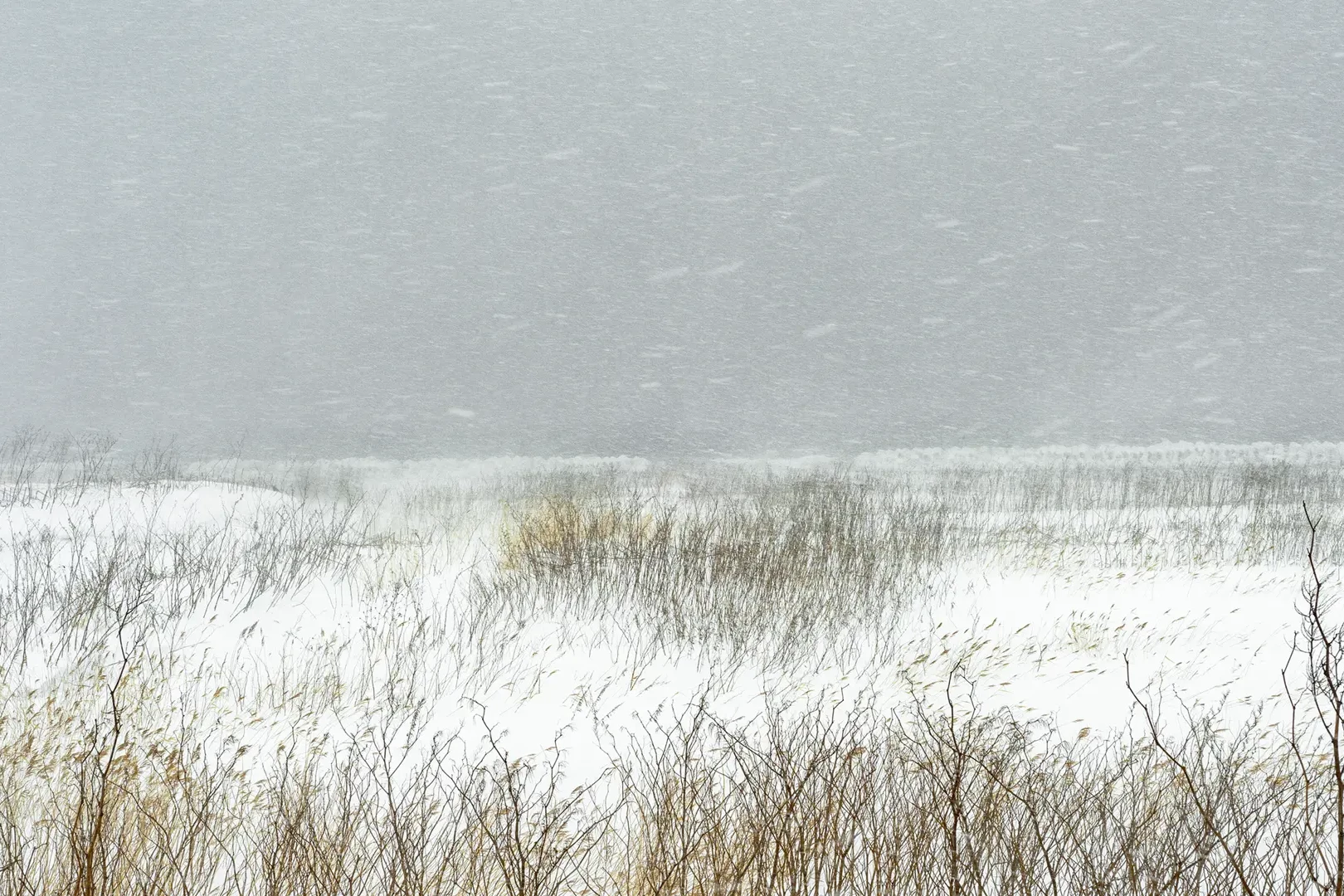 Le bruit de la neige - Catherine Henriette