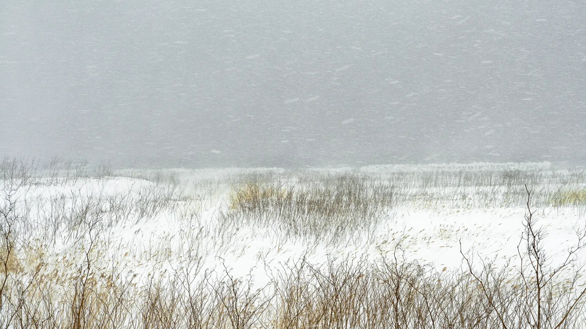 Le bruit de la neige - Catherine Henriette