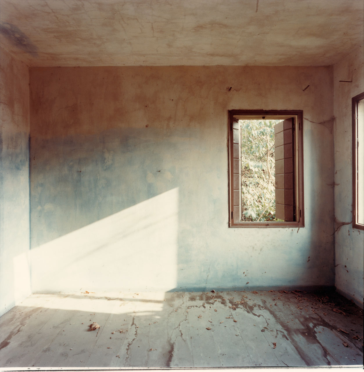 Preganziol, 1983 © Guido Guidi exposition photo février 2026 LE BAL