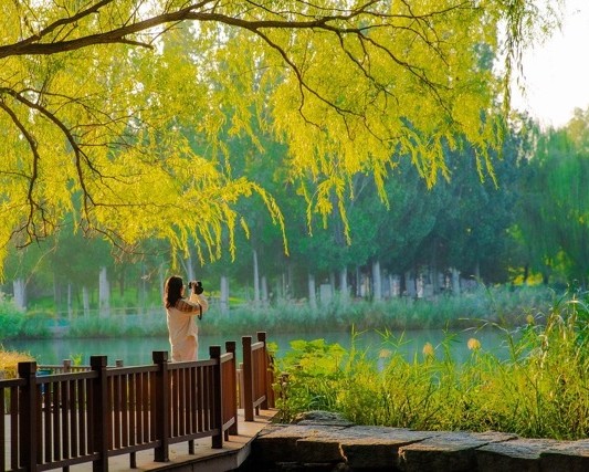 Photographie contemplative , nature , méditation et photographie