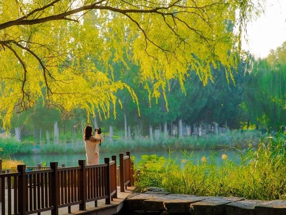 Photographie contemplative , nature , méditation et photographie