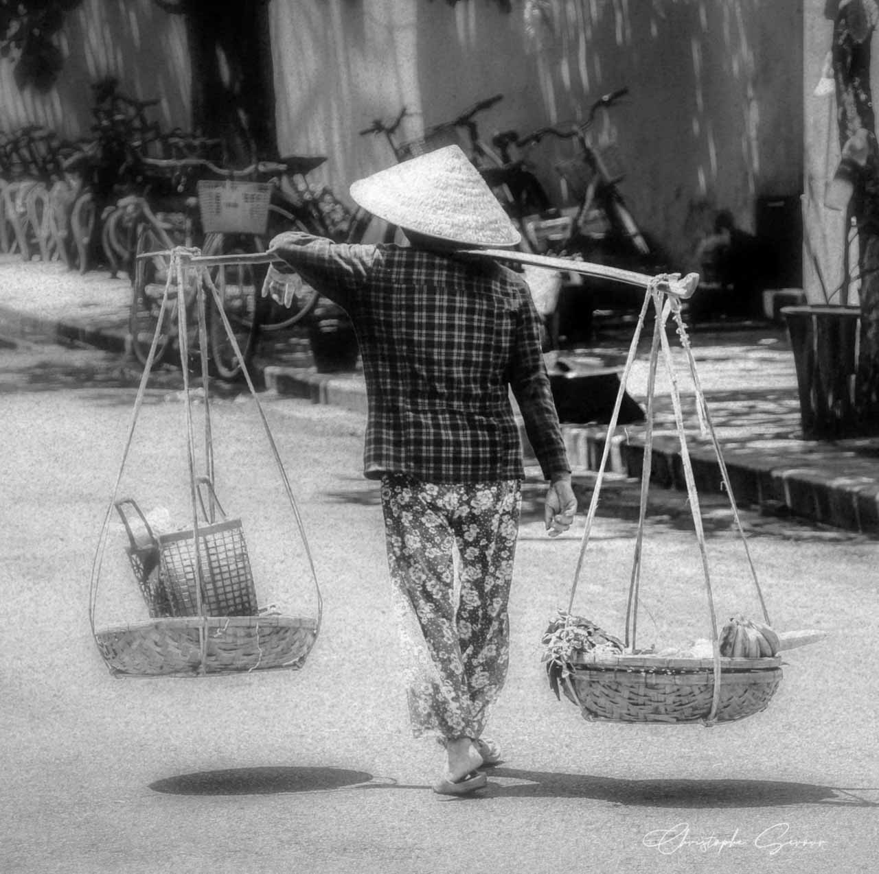 voyage, vietnam, paysage, noir et blanc