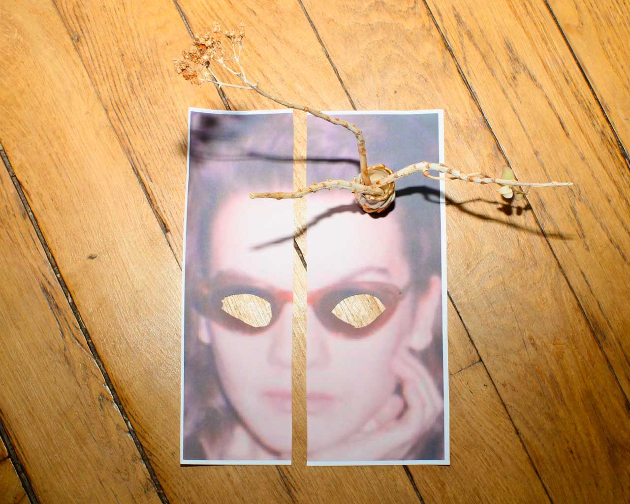 collage, paysage, archive, auto-portrait, Marthe Lazarus
