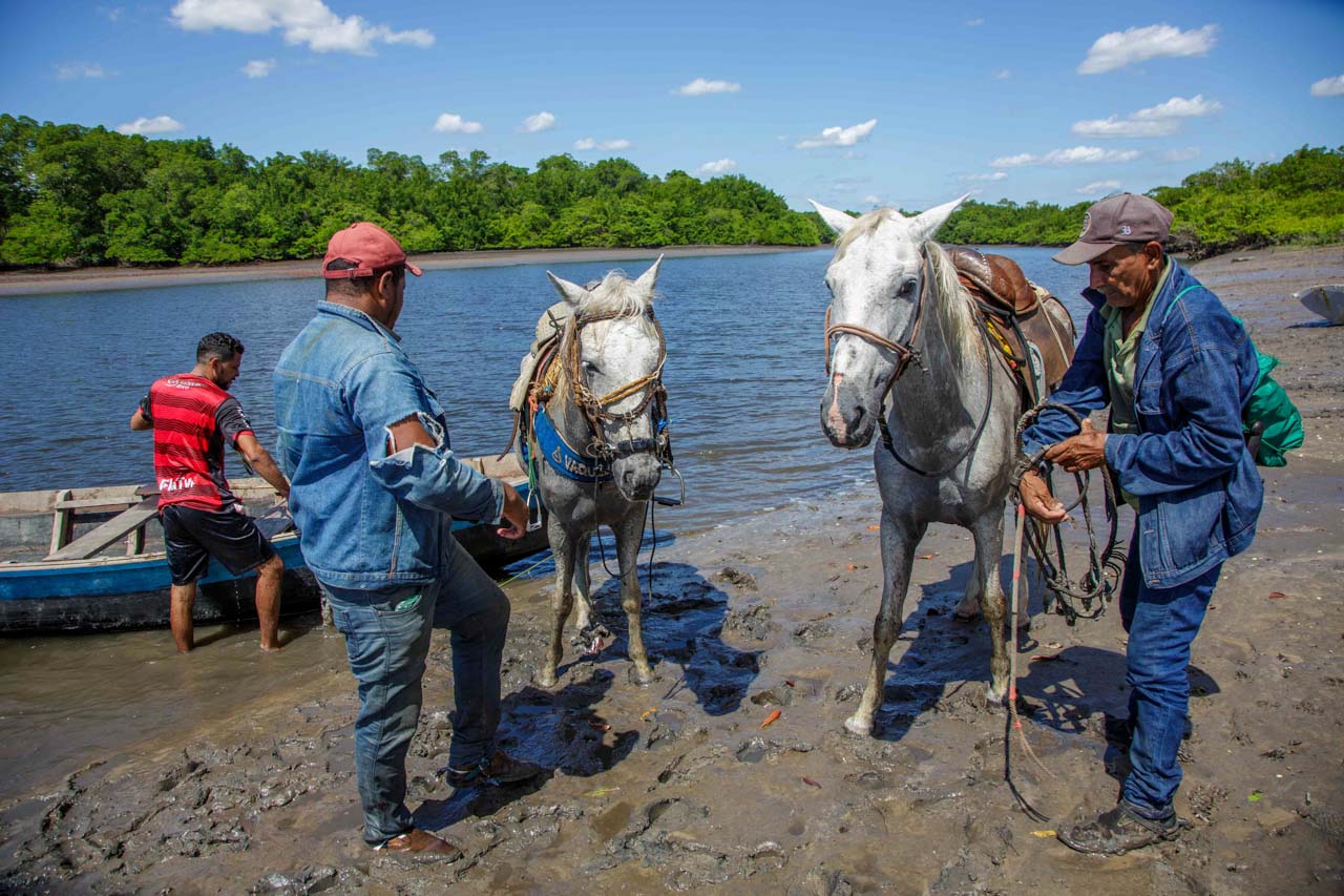 Voyage photo au Brésil : explorer les Lençóis Maranhenses, São Luís et le Delta du Parnaíba
