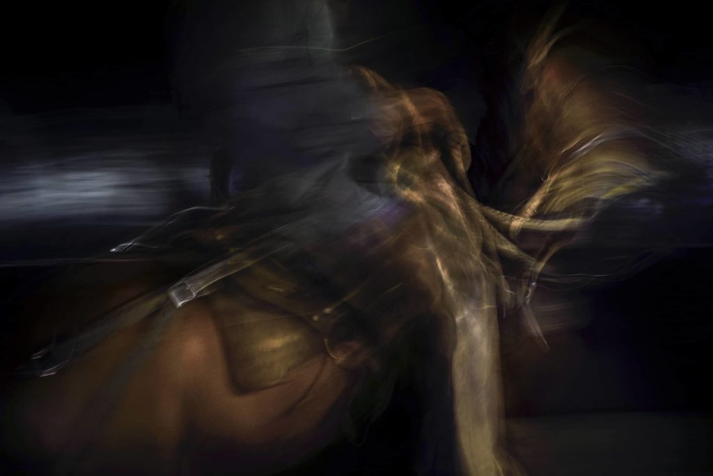 Filé en pose longue d'un cheval, série Doma equina d'Andres Galan, tons dorés