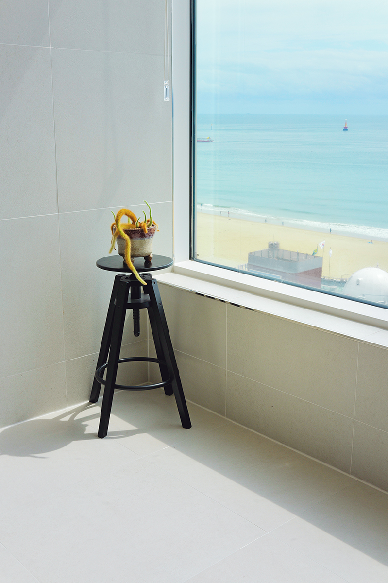 Park Chan-wook – Photographe. Quand l’horloger immobilise le temps